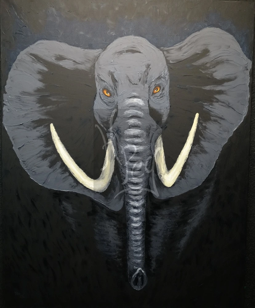 Éléphant gris